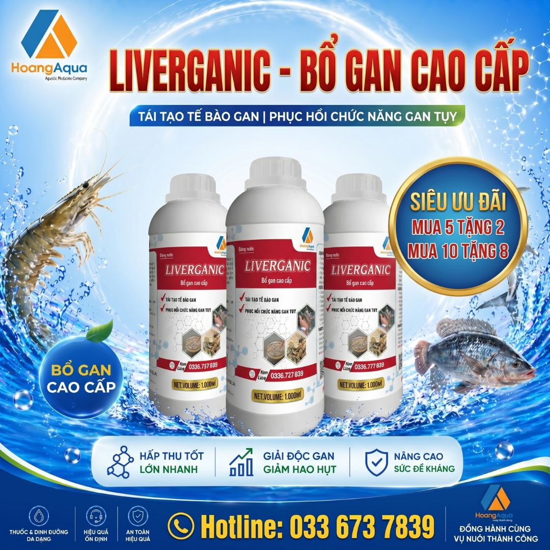 LIVERGANIC - BỔ GAN CAO CẤP