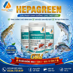 HEPAGREEN - BỔ GAN THẢO DƯỢC