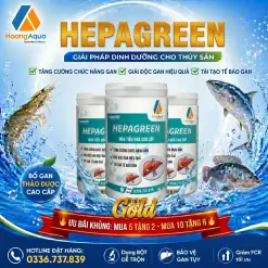 HEPAGREEN - BỔ GAN THẢO DƯỢC
