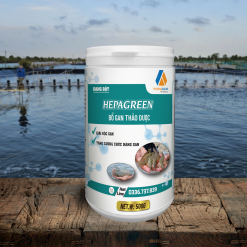 HEPAGREEN – BỔ GAN THẢO DƯỢC
