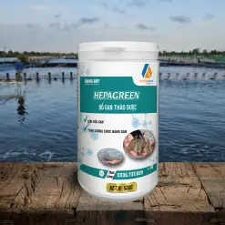 HEPAGREEN – BỔ GAN THẢO DƯỢC
