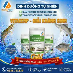 ATISOMAX - GIẢI KHÁNG SINH