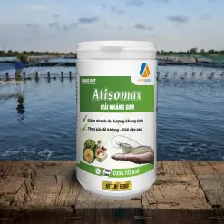 ATISOMAX – GIẢI KHÁNG SINH