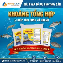 ECOMIX - KHOÁNG TỔNG HỢP