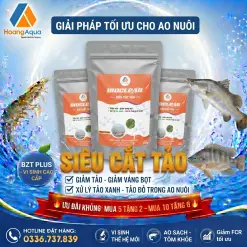 BIOCLEAR - SIÊU CẮT TẢO