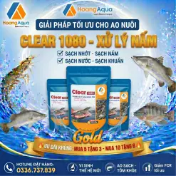 CLEAR 1080 - XỬ LÝ NẤM