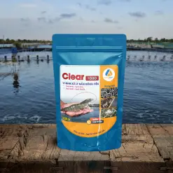 CLEAR 1080 – XỬ LÝ NẤM