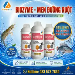 BIOZYME - MEN ĐƯỜNG RUỘT