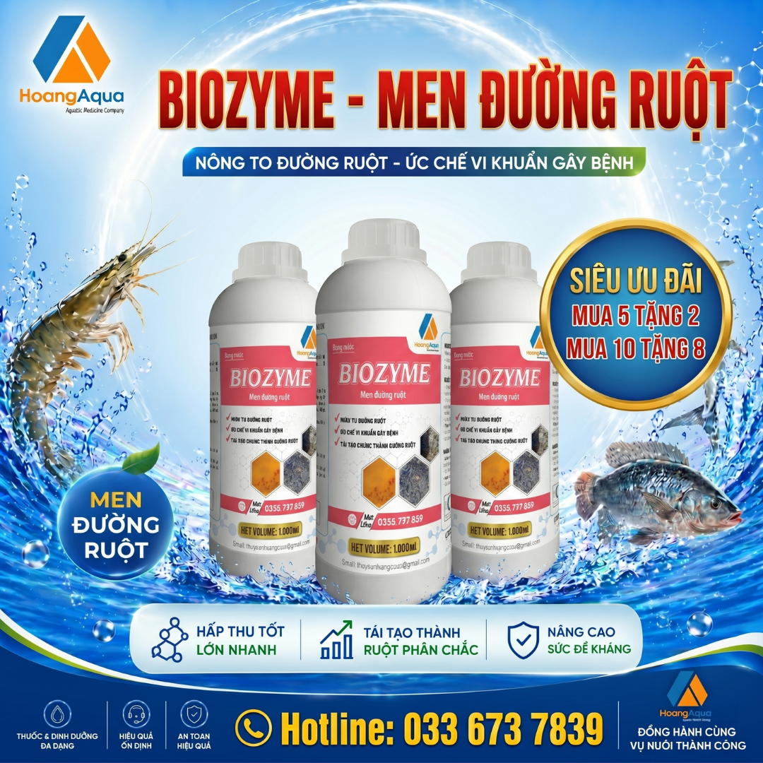 BIOZYME - MEN ĐƯỜNG RUỘT