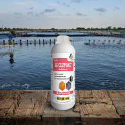 BIOZYME – MEN ĐƯỜNG RUỘT