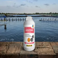 BIOZYME – MEN ĐƯỜNG RUỘT