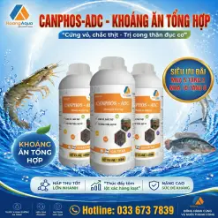 CANPHOS ADC - KHOÁNG ĂN TỔNG HỢP