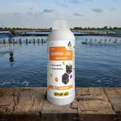 CANPHOS ADC – KHOÁNG ĂN TỔNG HỢP