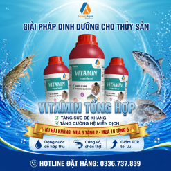 VITAMIN TỔNG HỢP