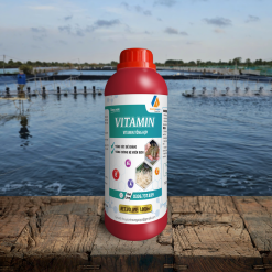 VITAMIN TỔNG HỢP