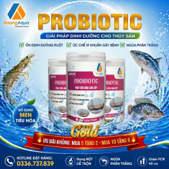 PROBIOTIC - MEN TIÊU HÓA