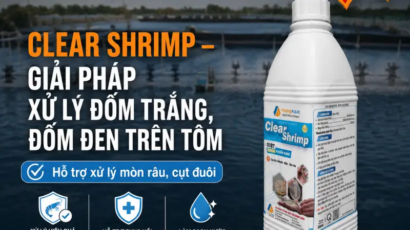CLEAR SHRIMP – Giải Pháp Xử Lý Đốm Trắng, Đốm Đen, Mòn Râu, Cụt Đuôi Trên Tôm